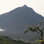假日公园 Yes Pico
