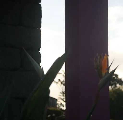 Holiday park Yes Pico Santa Luzia (Sao Roque do Pico)