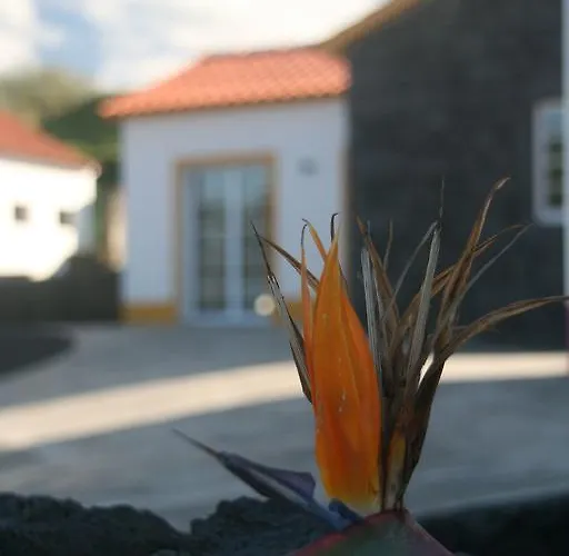 Holiday park Yes Pico *