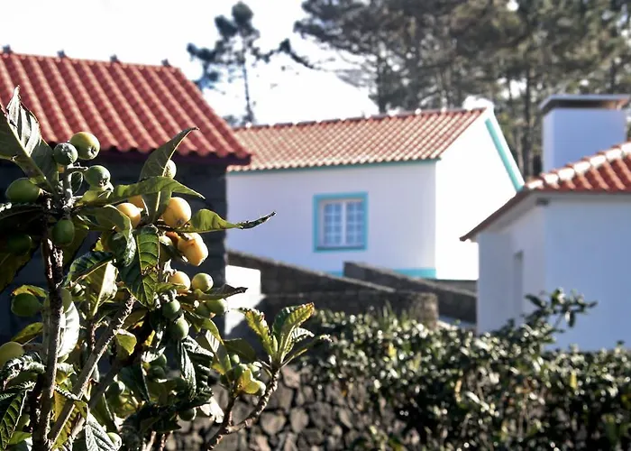 База отдыха Yes Pico *